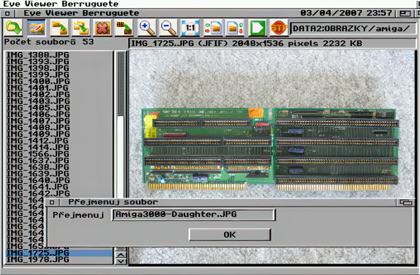 Eye Viewer Berruguete